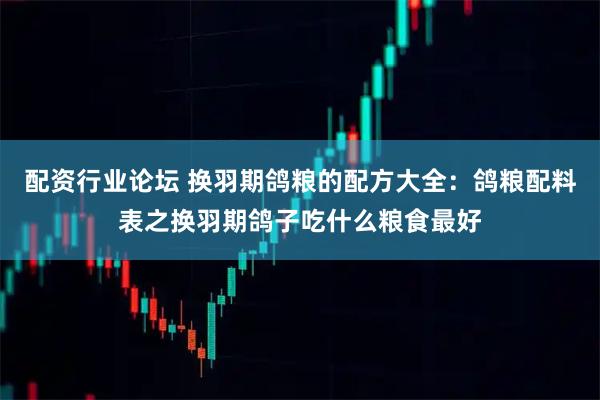 配资行业论坛 换羽期鸽粮的配方大全：鸽粮配料表之换羽期鸽子吃什么粮食最好